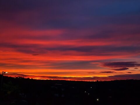 ROBUSTA ĐẶC SẢN 500GR