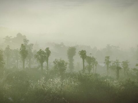 ROBUSTA ĐẶC SẢN 1KG